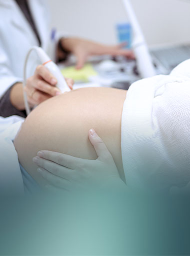 Learn more about the fertility process