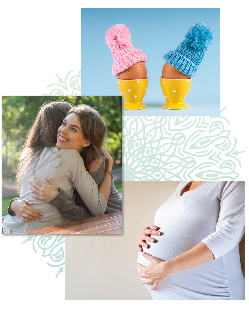 Become an Egg Donor at Reprodutive Solutions